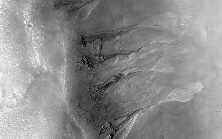 Gullies in Acidalia Planitia