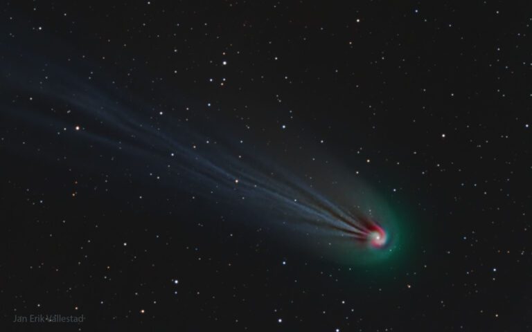 Comet Pons-Brooks' Swirling Coma