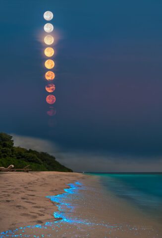 A Full Plankton Moon