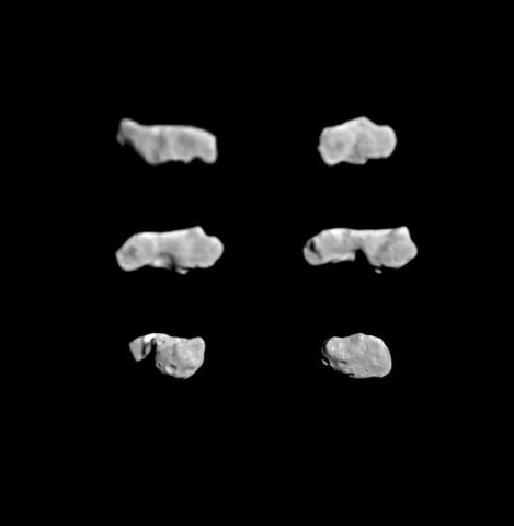 Asteroid Ida - 6 Views Showing Rotation