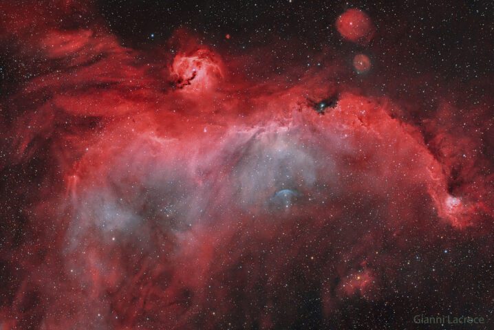 The Seagull Nebula