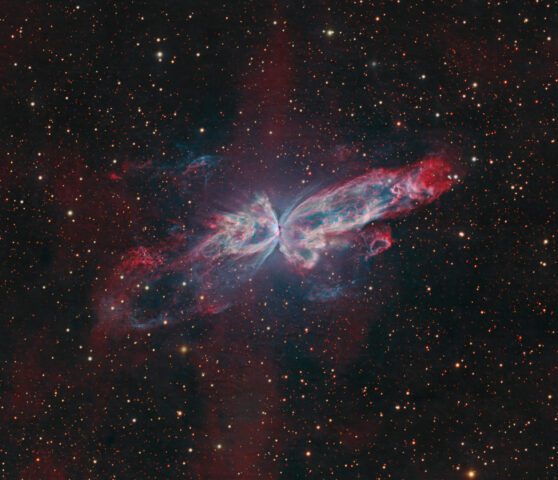 NGC 6302: The Butterfly Nebula