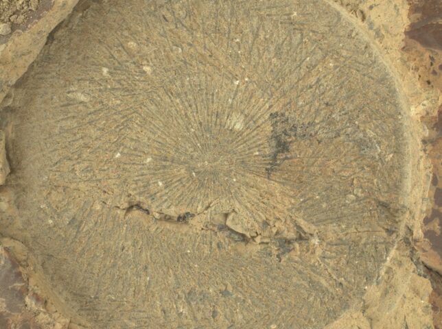 Zooming in on Perseverance Rover's 'Kenmore' Abrasion Patch